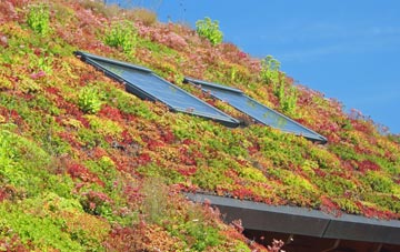 Rivar living roof systems